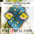 Kamagra 100 Mg Oral Jelly Sildenafil cialis5